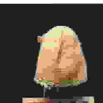 Placeholder for Jc 0207 c