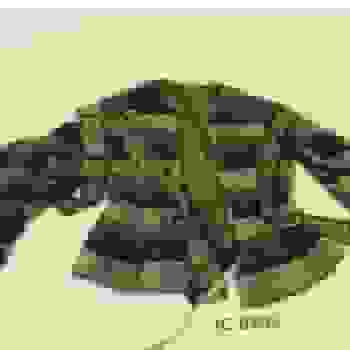 Placeholder for Jc 0209