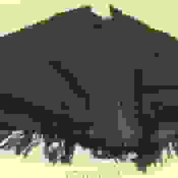Placeholder for Jc 0213 b
