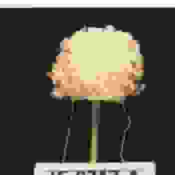 Placeholder for Jc 0217 a