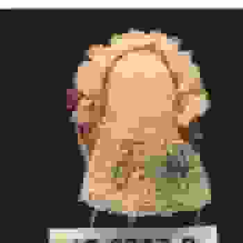Placeholder for Jc 0217 b