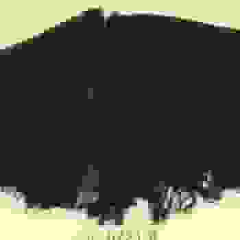 Placeholder for Jc 0221 b