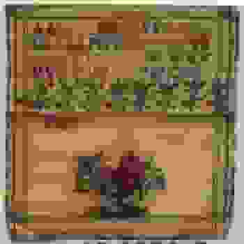 Placeholder for Jc 0229 c