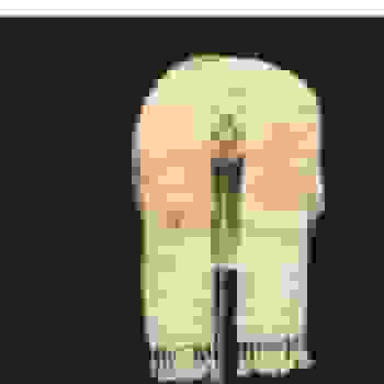 Placeholder for Jc 0245