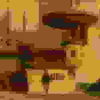 Placeholder for Jc 0270