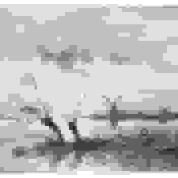 Placeholder for Jc 0281