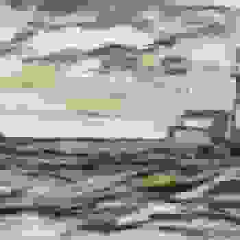 Placeholder for Jc 0333