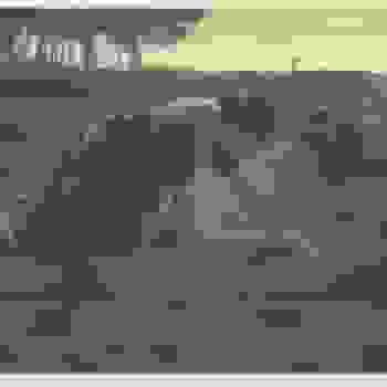 Placeholder for Jc 0401