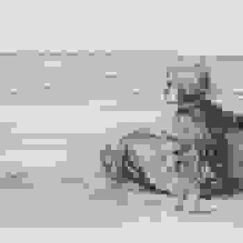Placeholder for Jc 0415