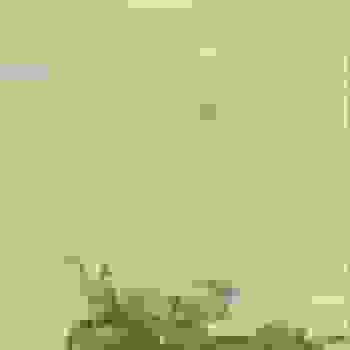 Placeholder for Jc 0588