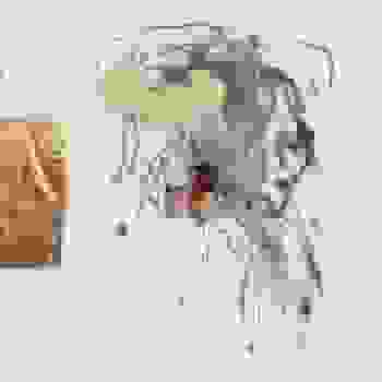 Placeholder for Jc 0745