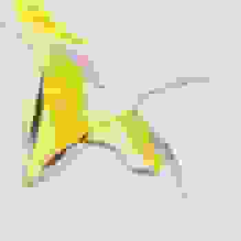 Placeholder for Jc 1038