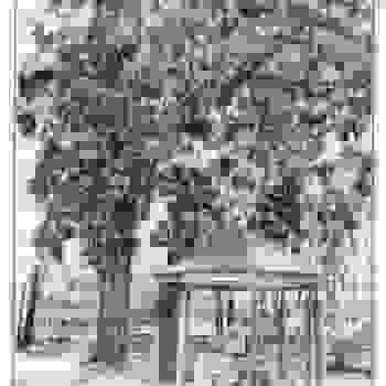 Placeholder for Jc 1601 J