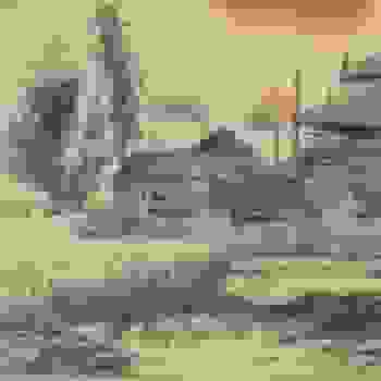 Placeholder for Jc 1666