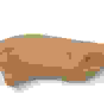 Placeholder for Jc 1894