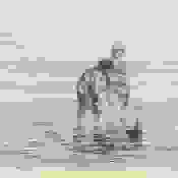 Placeholder for Jc 2046