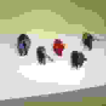 Placeholder for Jc 2182 internet afbeelding