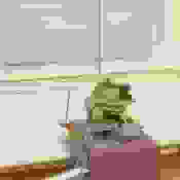 Placeholder for Jc 2273