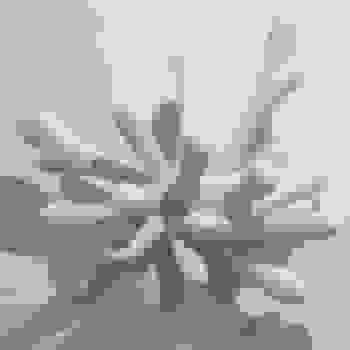 Placeholder for Jc 2275