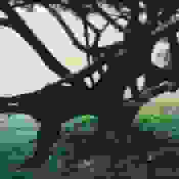Placeholder for Jc 2322
