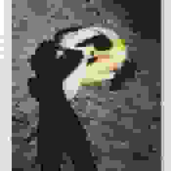 Placeholder for Jc 2328