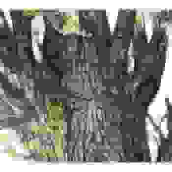 Placeholder for Jc 2329