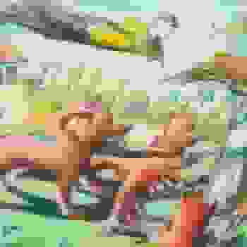 Placeholder for Jc 2333