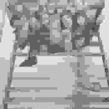 Placeholder for Jc 2364