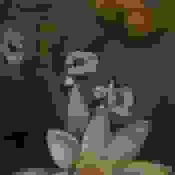 Placeholder for Jc 2388