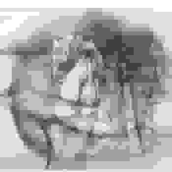 Placeholder for Jc 2445