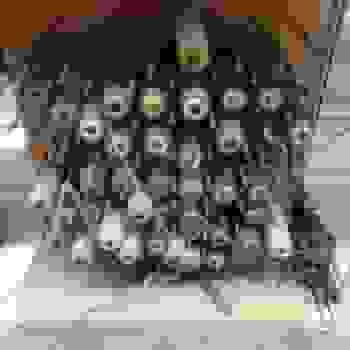 Placeholder for Jc 2507
