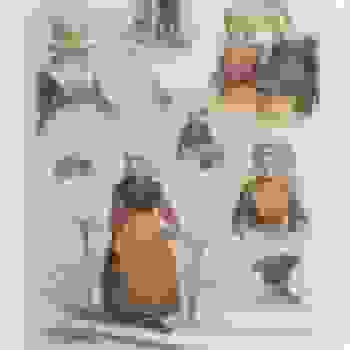 Placeholder for Jc 2792