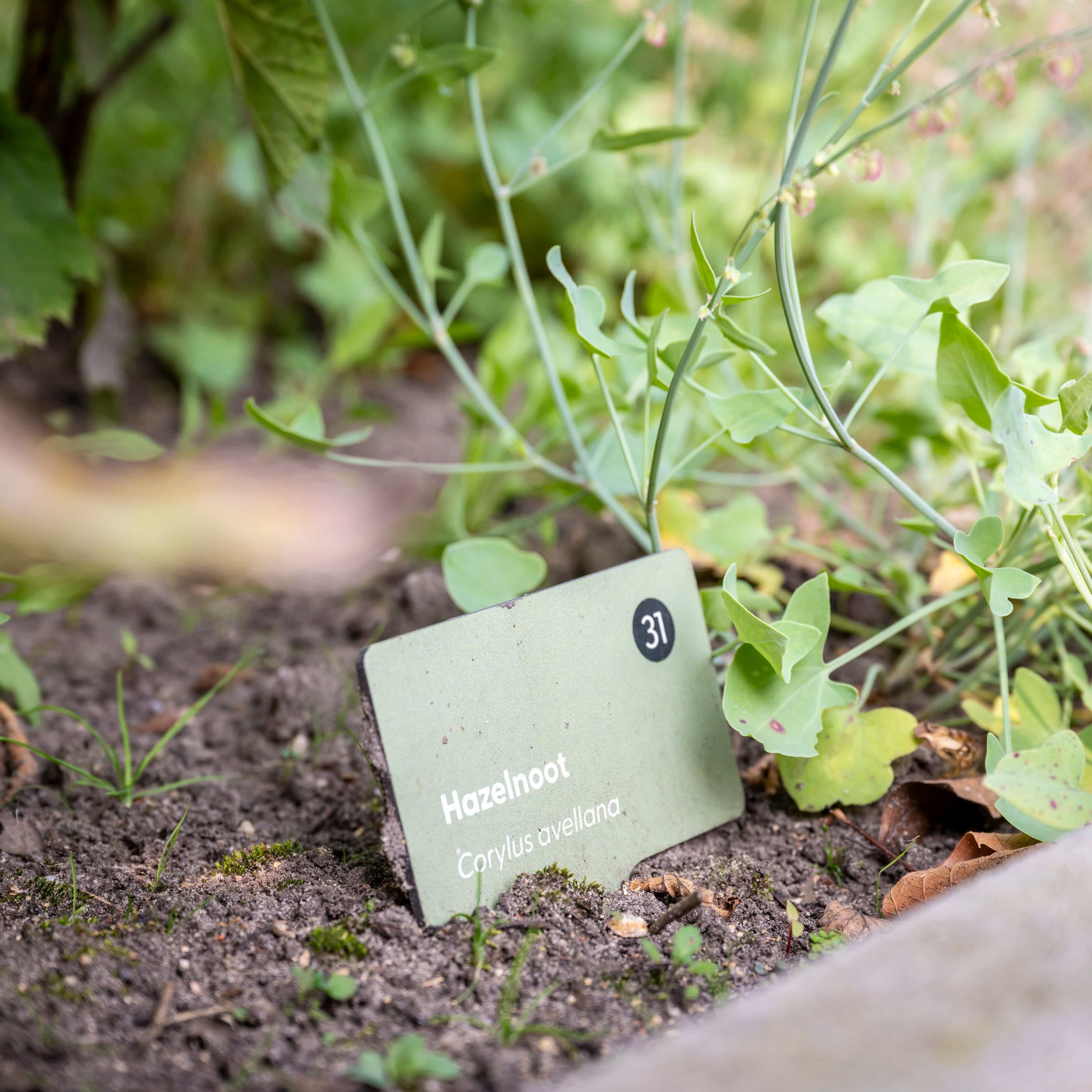 TS240802 Kruidentuin Museum JC 33