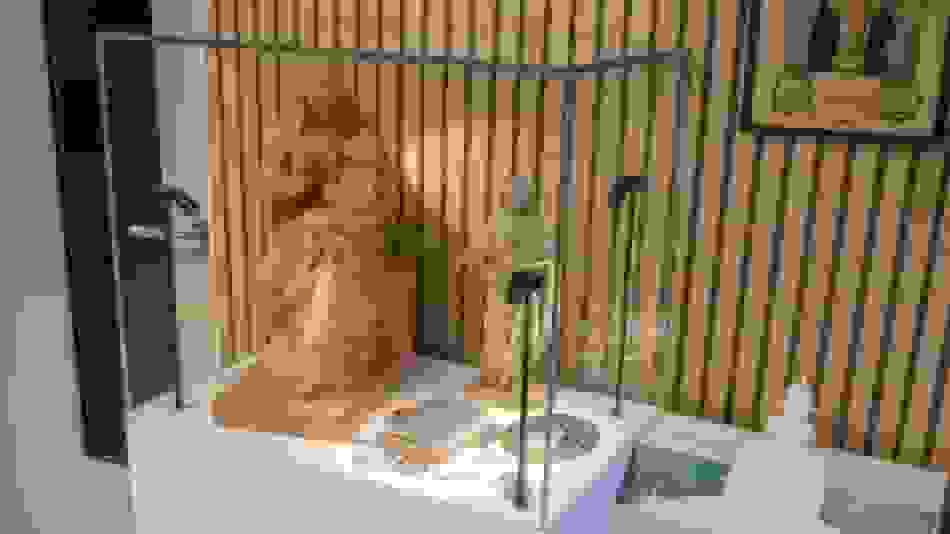 Placeholder for @Thomas Segers - TS251205 Casa Curiossatour 3378