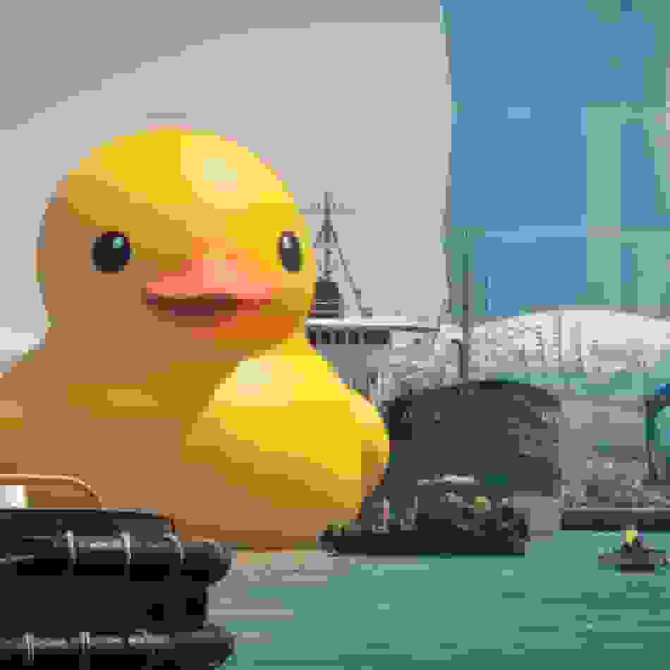 Placeholder for 05 rubberduck kaoshiung