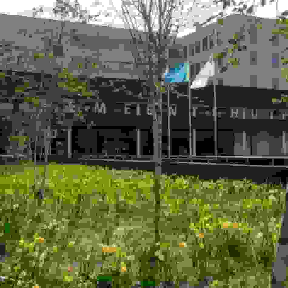 Placeholder for Natuur in de stad wandeling