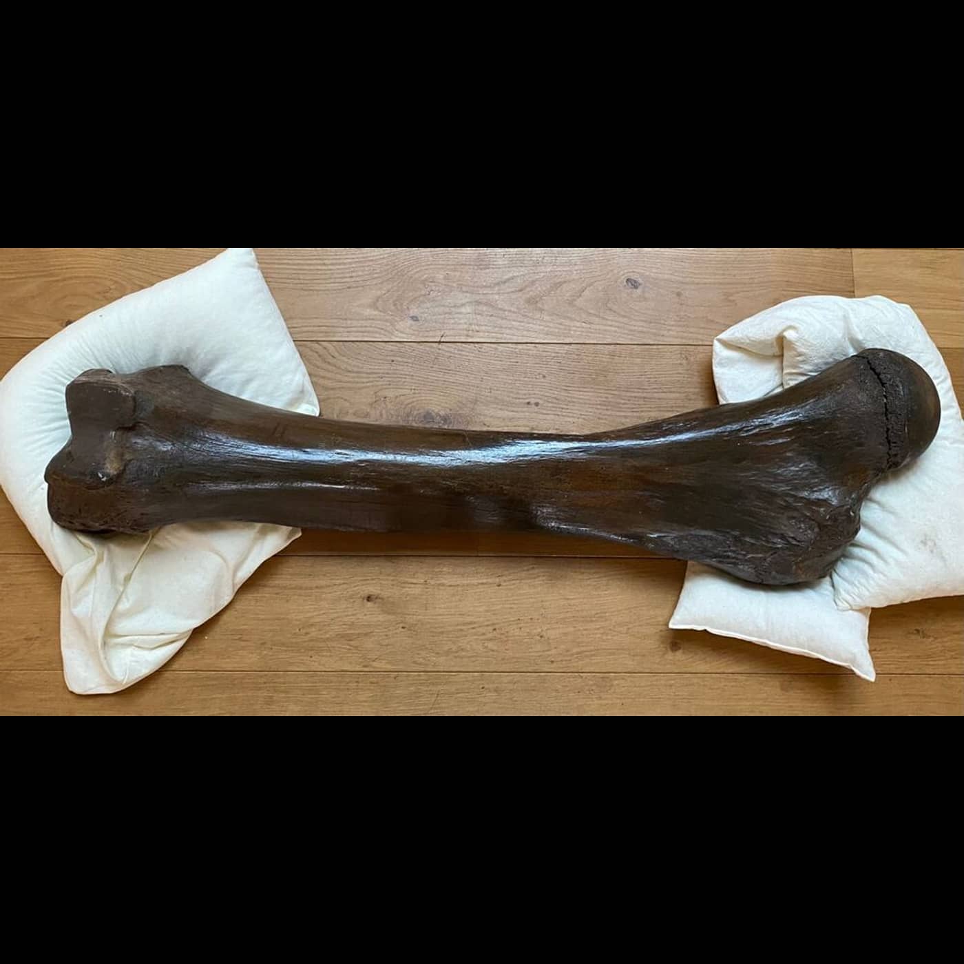 13b87066 f80b 4043 939c 36d7b74ac2bf