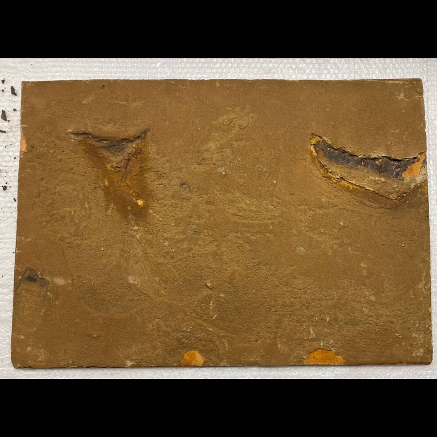 215e8dc8 8f44 4103 a2de 40bc08d22058