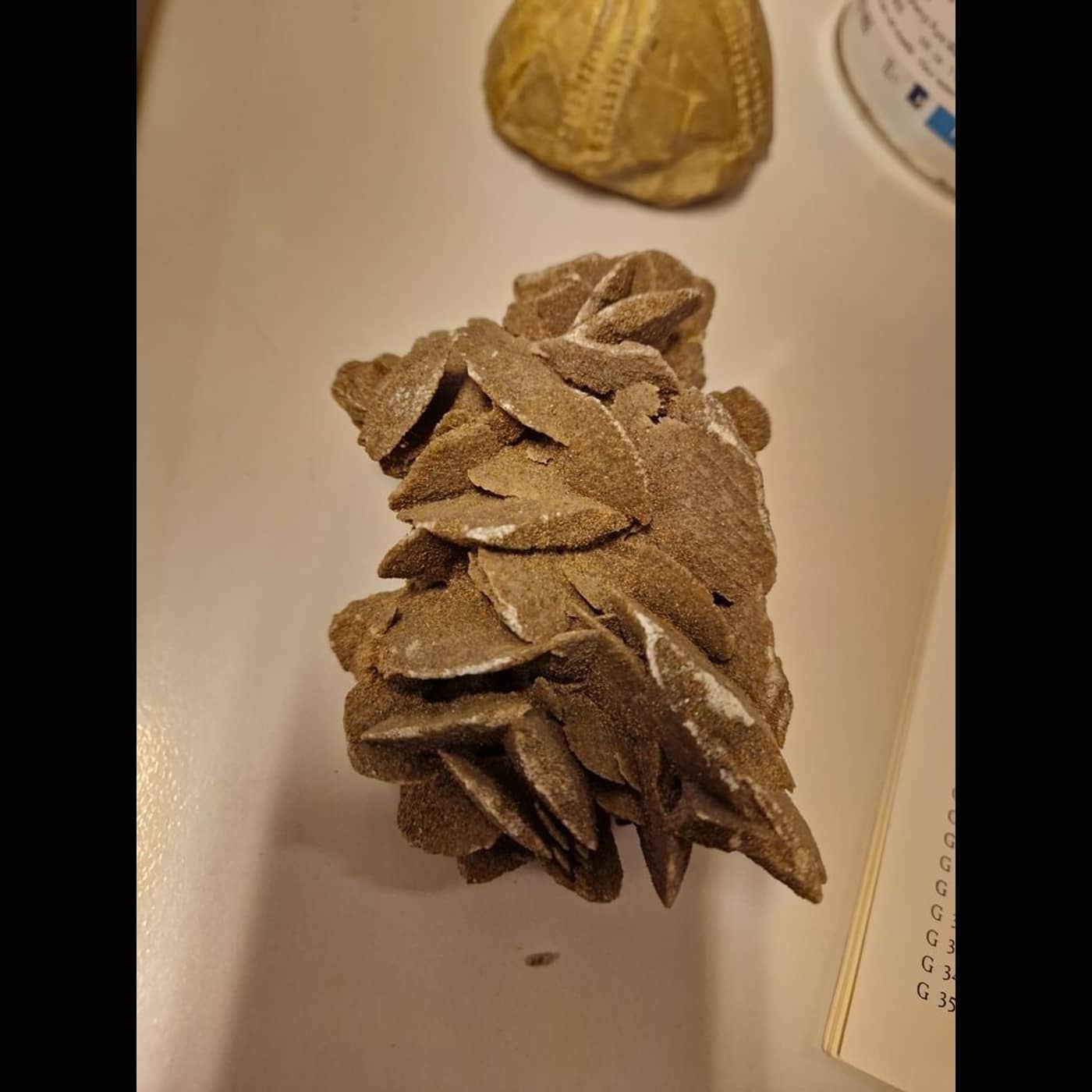 218fc21e 90ed 483e 9bbf 623b7038cfee