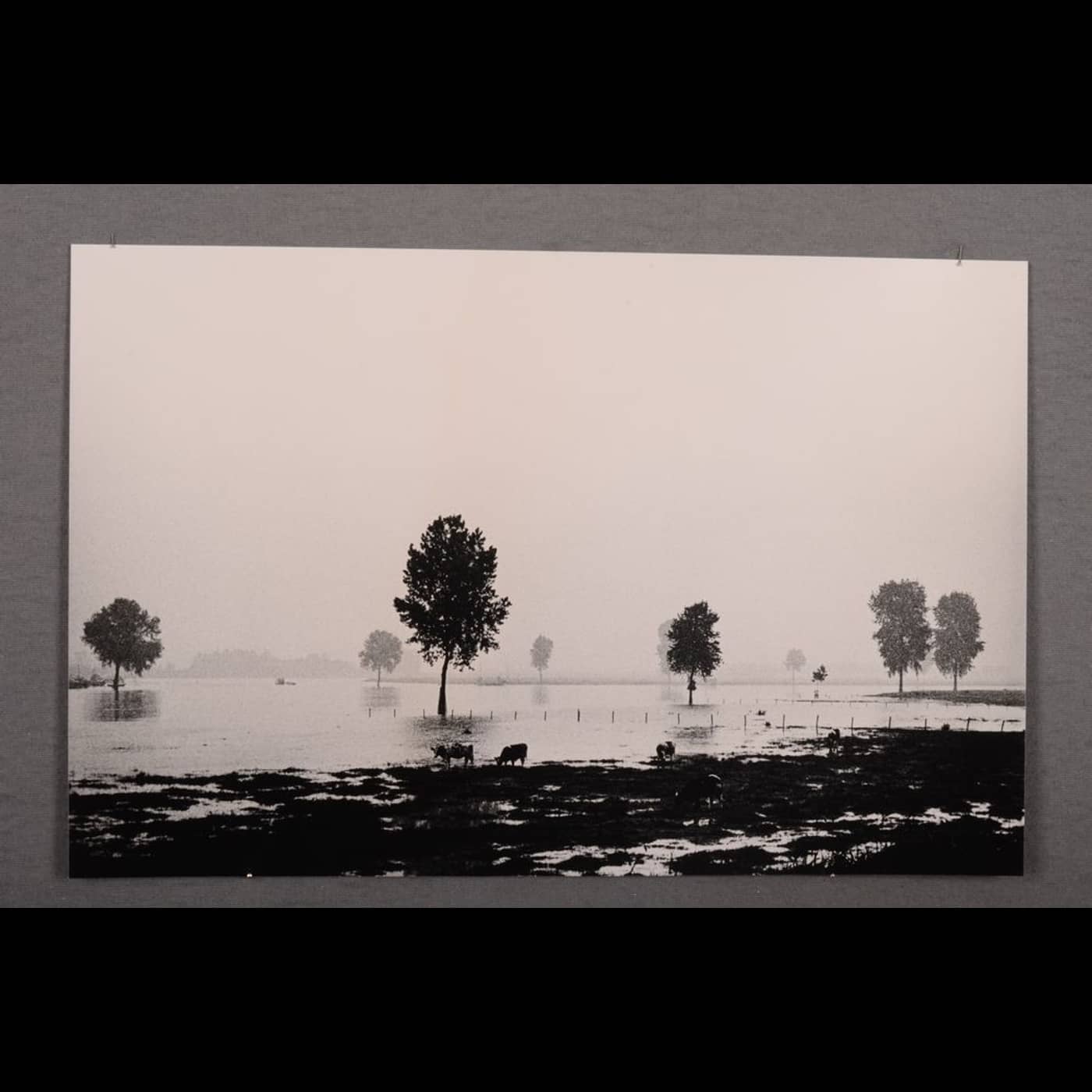 3f9a6793 cc72 40a1 a689 05b49c7bf550