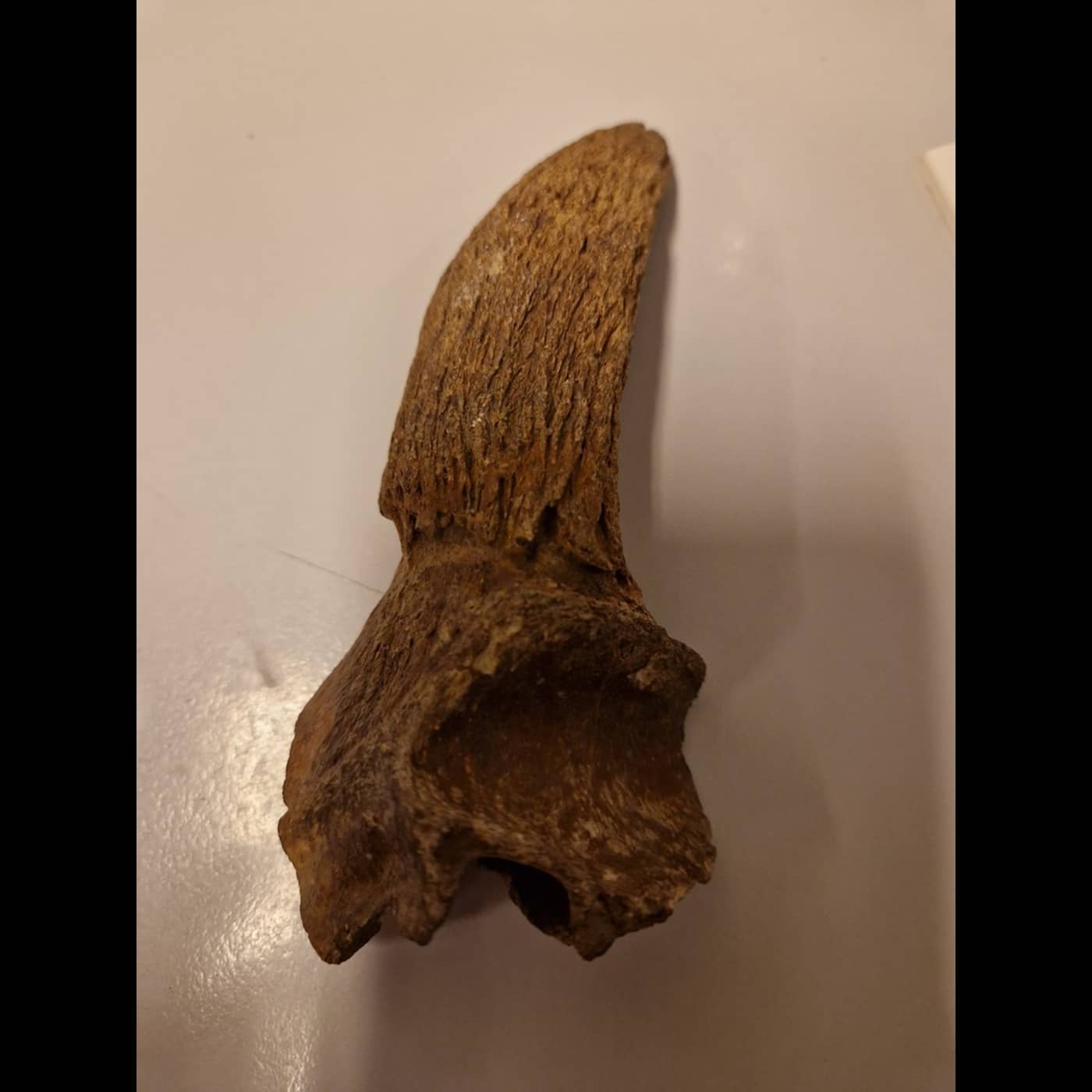 539545d8 511d 4f1e b5ff 37b0aa58ea09