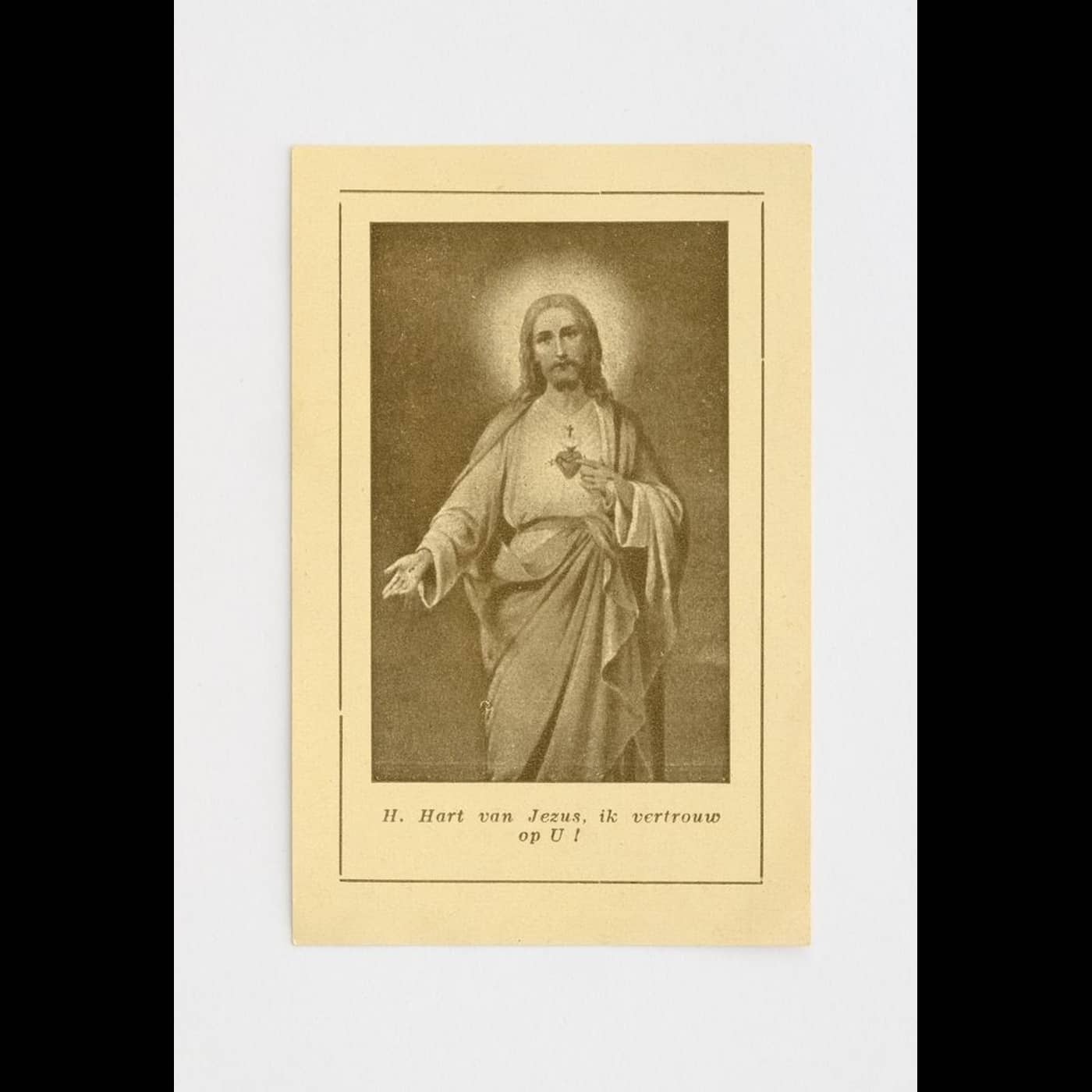 7364d026 1dd7 4ff1 b6d5 7721e4bd7dcd