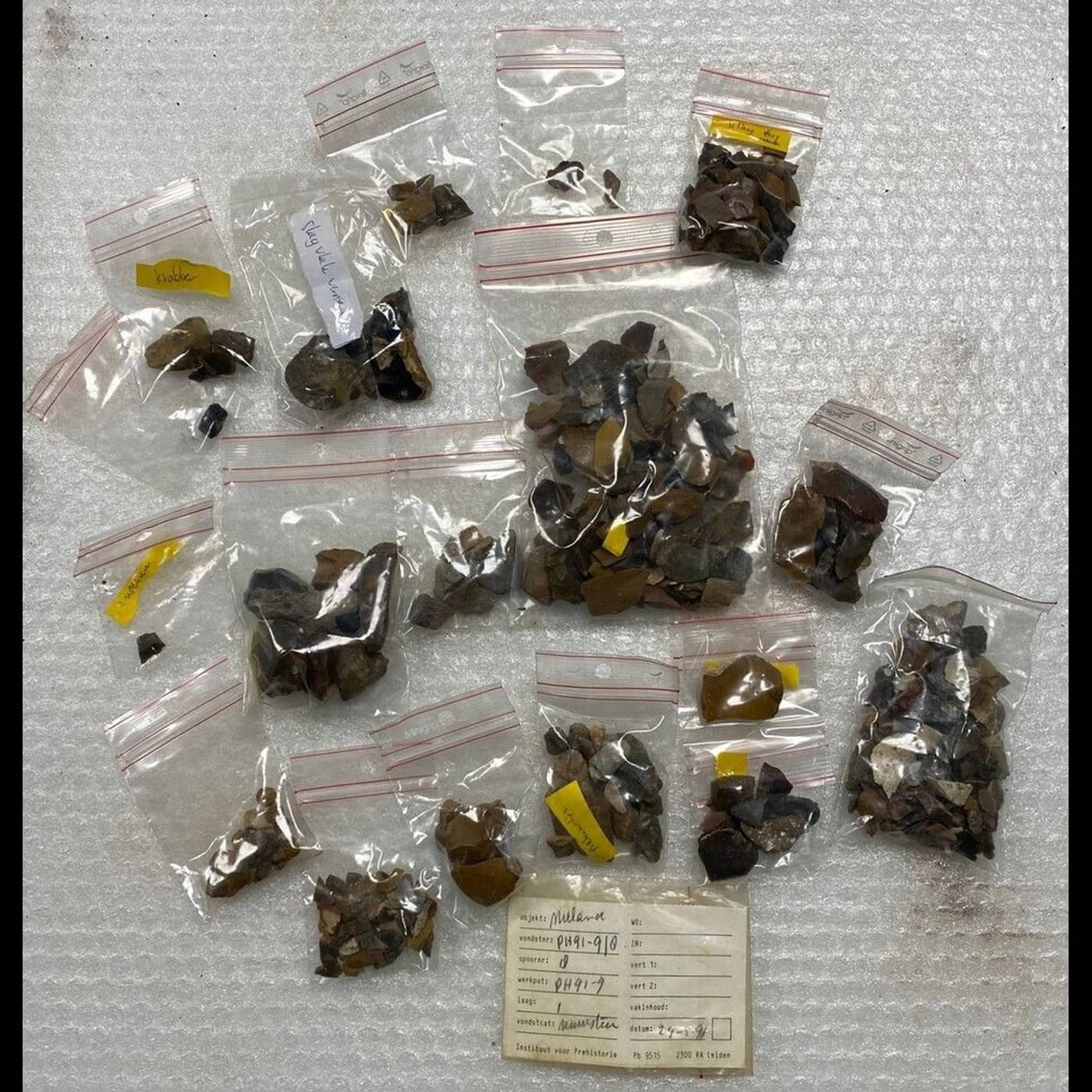 83122504 b6bc 40dd a0b7 a45c53ad03df