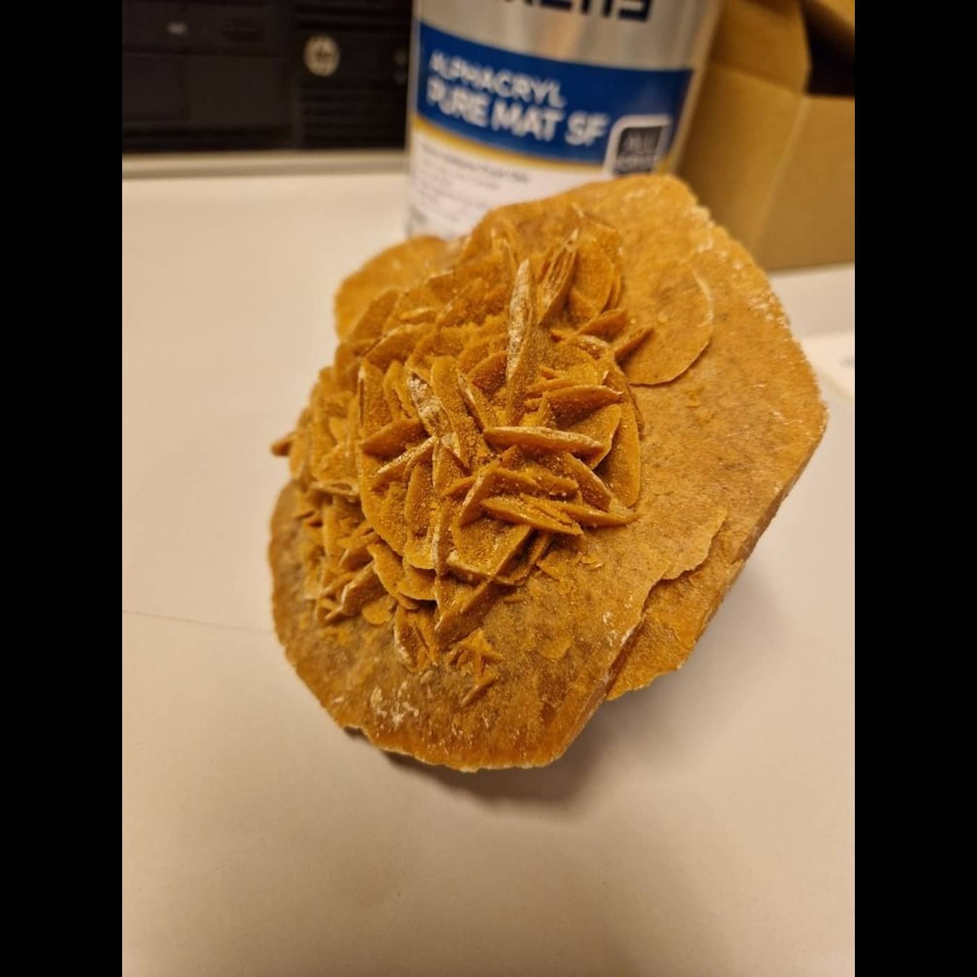 8a1e3aa1 82d9 46f6 81d0 68716e3aad8d