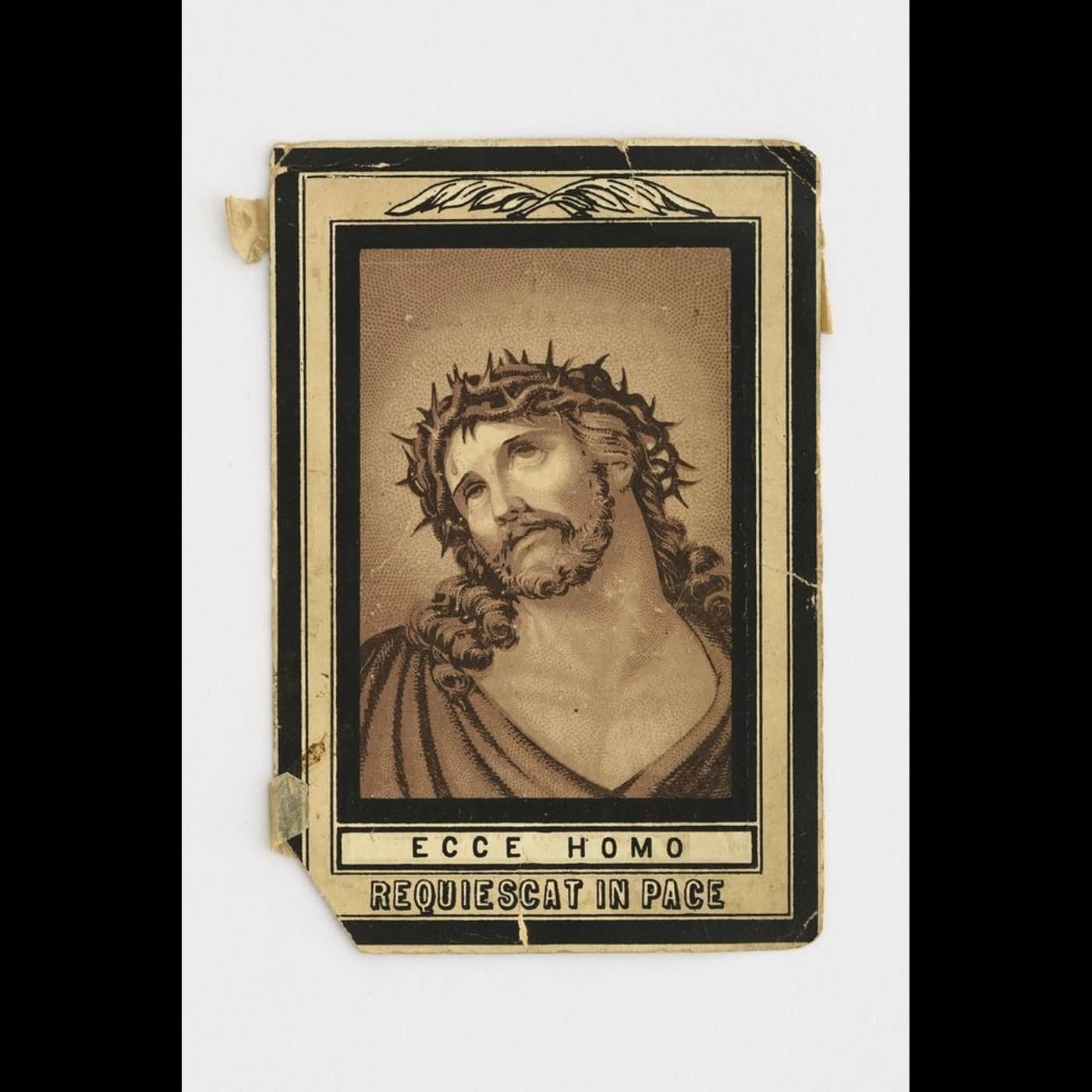 927dc442 c6d5 49ce 937c 2c80f41c512e