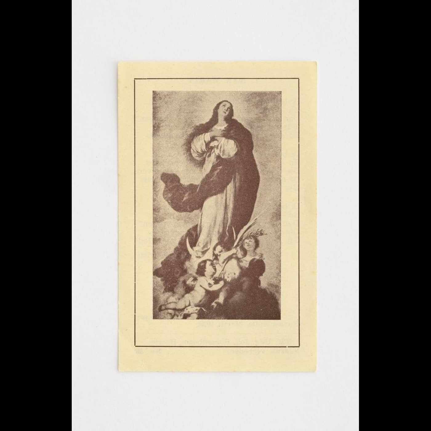 9397639b dab6 4b61 b168 61c9e2a28cba