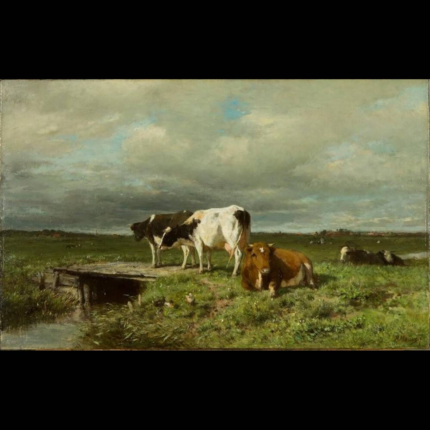 JC 2399 Mauve narest