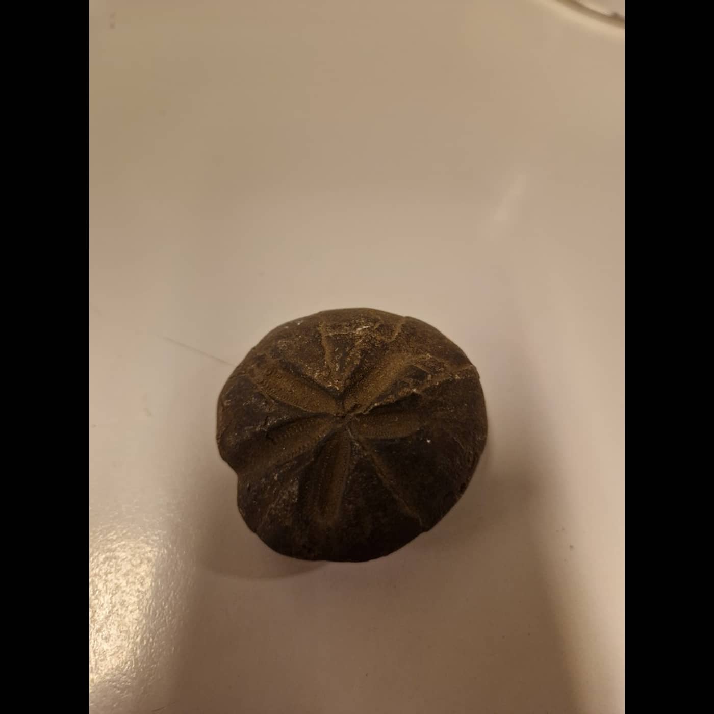 Ab6cc11f 74ac 446b a152 9529542322e2