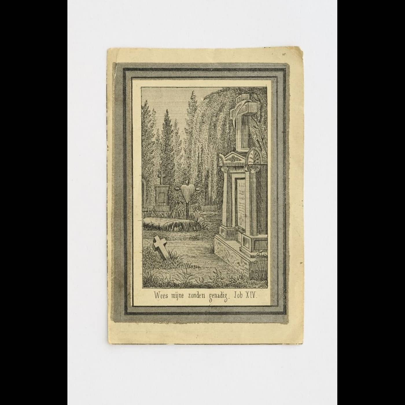 D69942ed 98a5 4368 b86e 8d10581bdd13