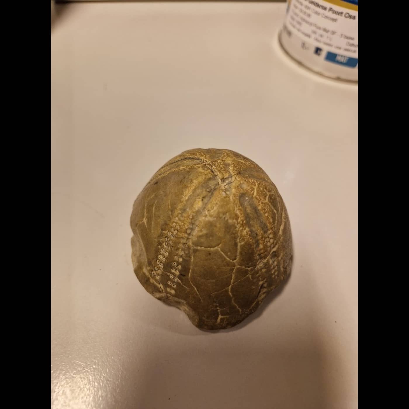 Dba34037 2a8f 4137 8279 bc84694c6080